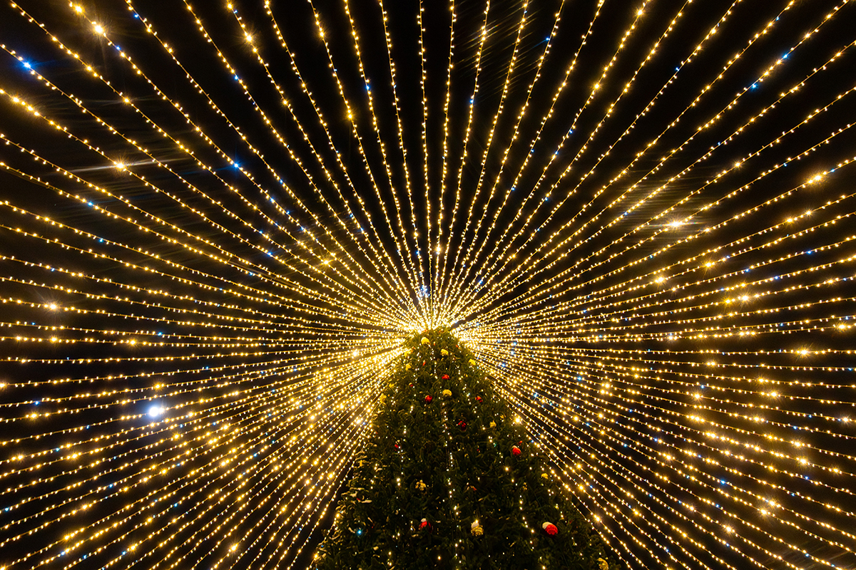 Village of Round Lake Beach Tree Lighting